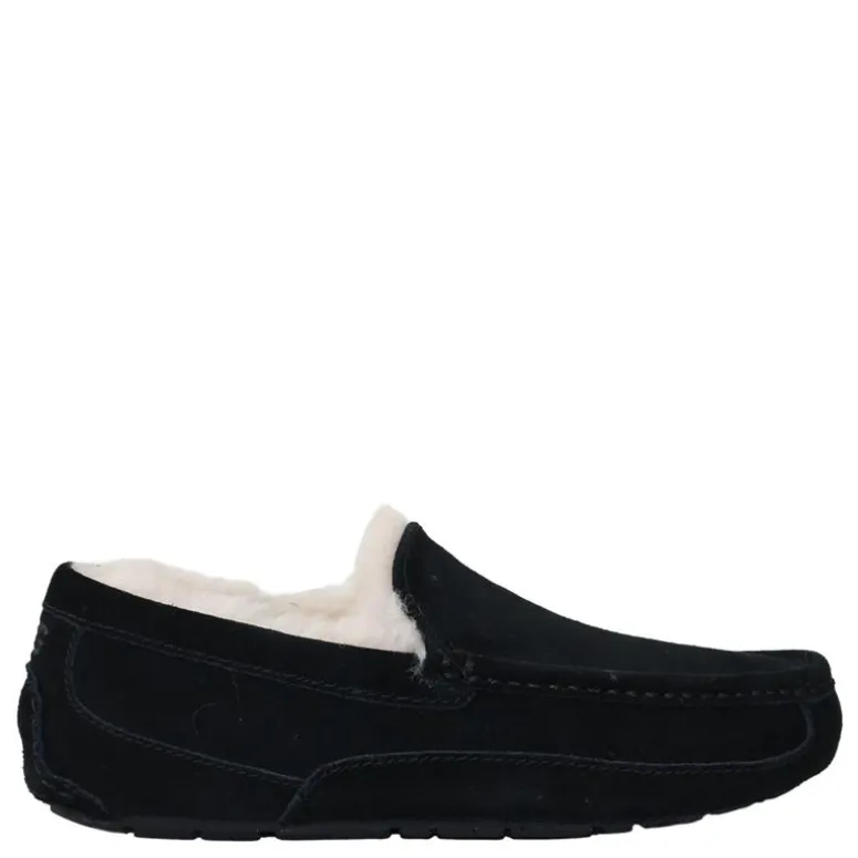 UGG pantoffels m.ascot
