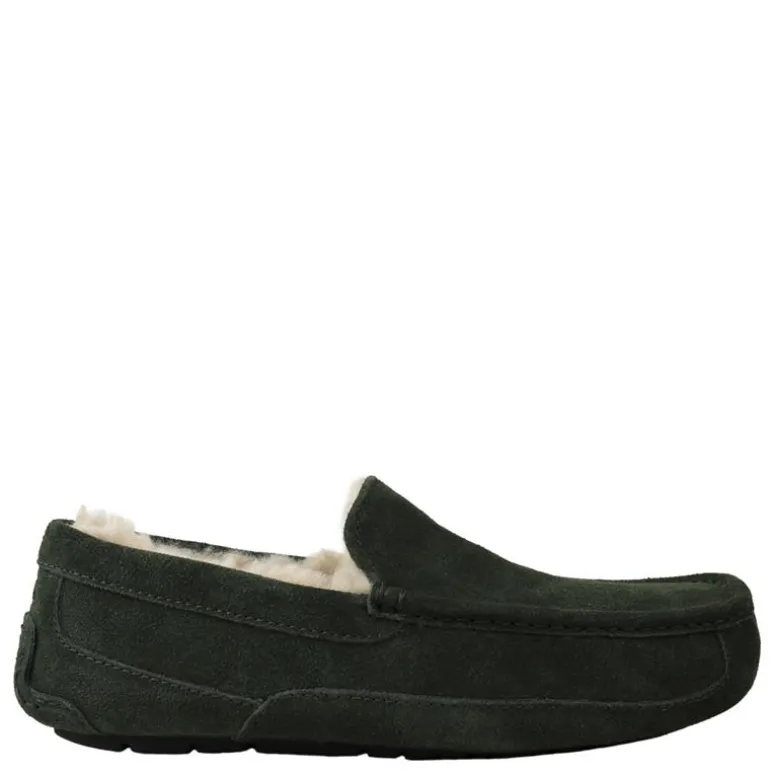 UGG pantoffels m.ascot