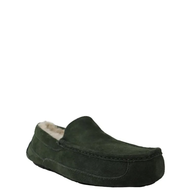 UGG pantoffels m.ascot